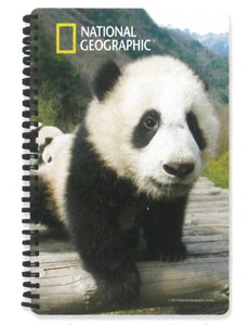 【動物】3Dノート（A5サイズ）　ナショナルジオグラフィック　ジャイアントパンダ　18066