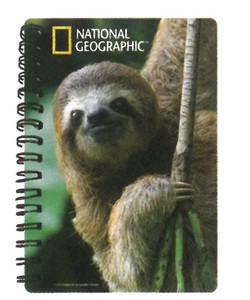 【動物】3Dノート（A6サイズ）　ナショナルジオグラフィック　ナマケモノ　18076