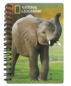 【動物】3Dノート（A6サイズ）　ナショナルジオグラフィック　ゾウ　18120