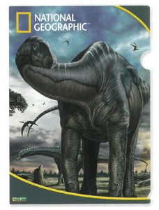 【恐竜】3Dクリアホルダー　ナショナルジオグラフィック　アルゼンチノサウルス　18434