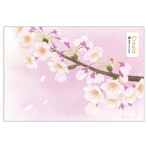 Postcard Cherry Blossoms Made in Japan