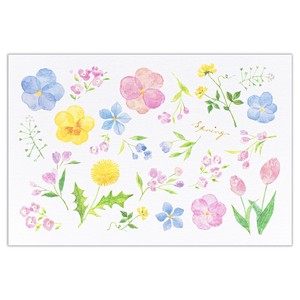 ポストカード　flower【日本製】