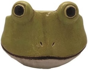 Accessory Case Frog