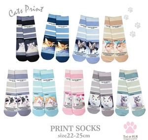 2 3 S/S Socks Print Socks Cat Series