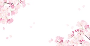 2 3 Spring Envelope Sakura Season
