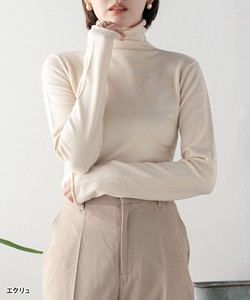 Sweater/Knitwear Knitted Long Sleeves Rayon High-Neck Ladies Autumn/Winter
