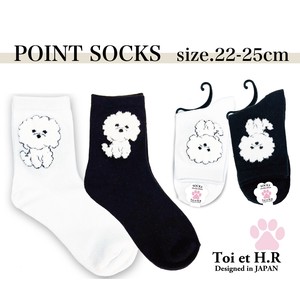 One Point Poodle Crew Socks