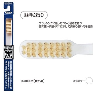 EBISU Pig Hair 3 50 Toothbrush