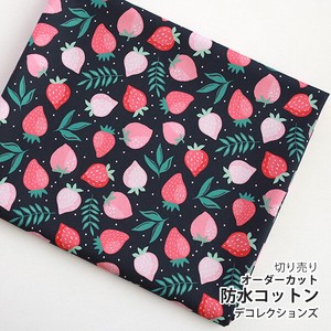 Fabrics Strawberry Fruits 1m