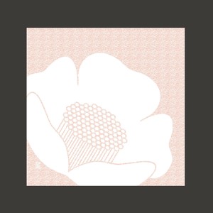 一次性厨房用品 售完即止 折扣/打折 厨房 200张 日本制造