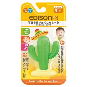Believe EDISON Baby Cactus