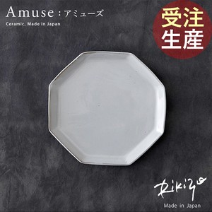 Rikizo Kasama ware Main Plate Gift Pottery Made in Japan