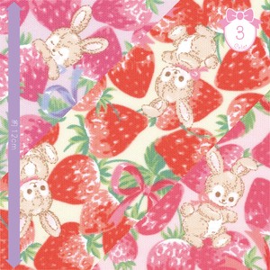 Fabric Classical Modern Scrunchy Strawberry Rabbit Quilt Admission 2022