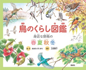 鳥のくらし図鑑：身近な野鳥の春夏秋冬