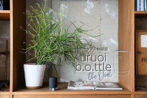 うるおいbottle The oval ポータブル加湿器 間接照明 充電式 コードレス