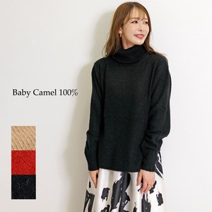Sweater/Knitwear Pullover Knitted Turtle Neck