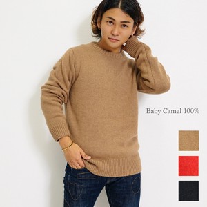 Sweater/Knitwear Pullover Crew Neck Knitted Men's