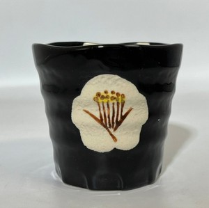Distilled Spirit Made in Japan Pottery Seto ware