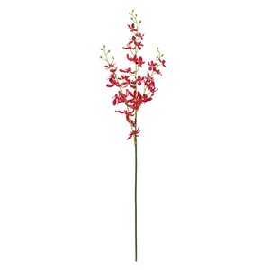 2 3 Press Orchid 3 RED
