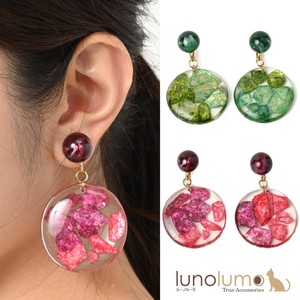 Earring Ladies Clear Transparency Green Red Red Casual