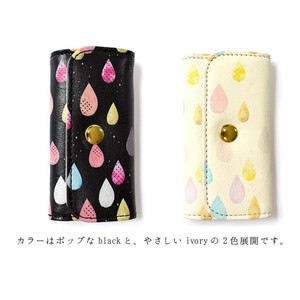 Key Case