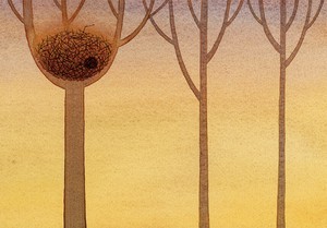ポストカード イラスト 山田和明 モノポの巣「夕暮れ時」105×150mm 郵便はがき