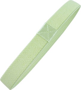 Bento Item COLOR band Green