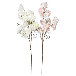 【asca】【アスカ商会】桜×62　2色　造花