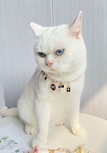 猫用服装 蝴蝶结/丝带 项链 狗 猫