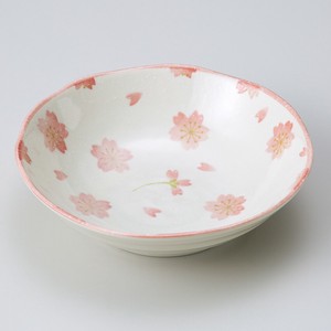 Mino ware Main Dish Bowl Sakura-Sakura M Made in Japan