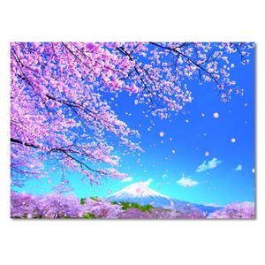 Cherry Blossoms Postcard Cherry Blossoms Mt. Fuji