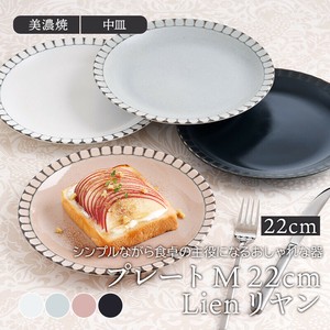 大餐盘/中餐盘 经典款 22cm 日本制造