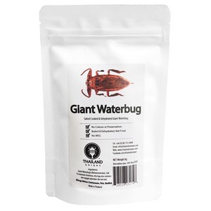 Giant Waterbugs8g(タガメ8g)