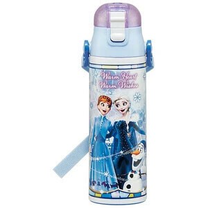 水筒 580ml ステンレスボトル　アナと雪の女王 23 スケーター 超軽量 ロック付 ワンプッシュ SDC6N