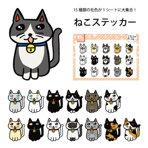 Cat Sticker Sticker