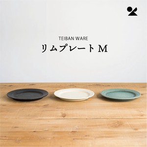 Shigaraki ware Main Plate M Made in Japan