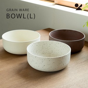Shigaraki ware Main Plate Ain bowl L Made in Japan