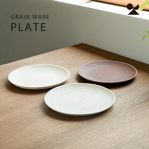 Shigaraki ware Small Plate Ain Made in Japan