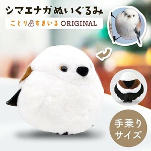 动物/鱼玩偶/毛绒玩具 玩具 杂货 小鸟