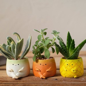 Pot/Planter Series