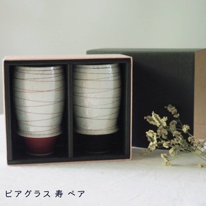 Main Plate Red Gift Arita ware Made in Japan