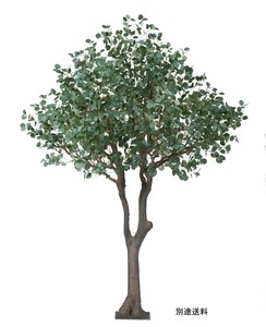 ユーカリ　グレイグリ−ン【造花観葉樹木】