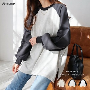 Sweatshirt Color Palette Oversized