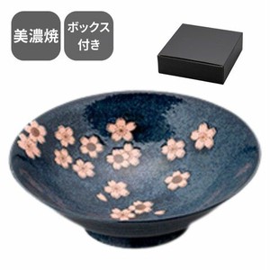 Mino ware Main Dish Bowl Gift Set Pottery Japanese Plum Made in Japan