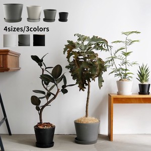 PLUS Pot/Planter 8-go 3-colors