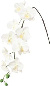 【造花】フローレンスコチョウラン　ホワイト　FA−7409W