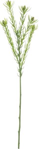 【造花】スリムリュウカデンドロ　グリーン　FA−7410GR