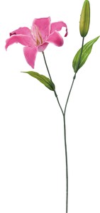 【造花】シングルカサブランカ　ビューティー　FF−3054BTY