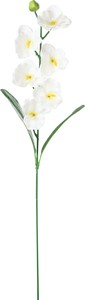 【造花】ミニコチョウラン　ホワイト　FF−3074W