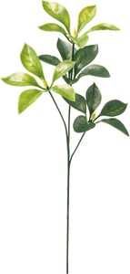 【造花】【グリーン】プラシキビ　グリーン　FG−5229GR